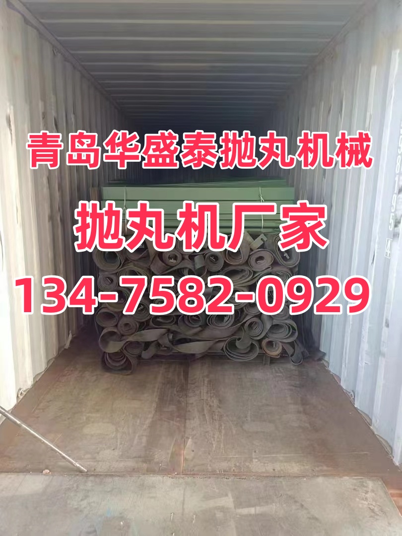 鑄造閥門拋丸除銹機_閥門鑄造除銹拋丸機視頻_除銹拋丸機工作原理